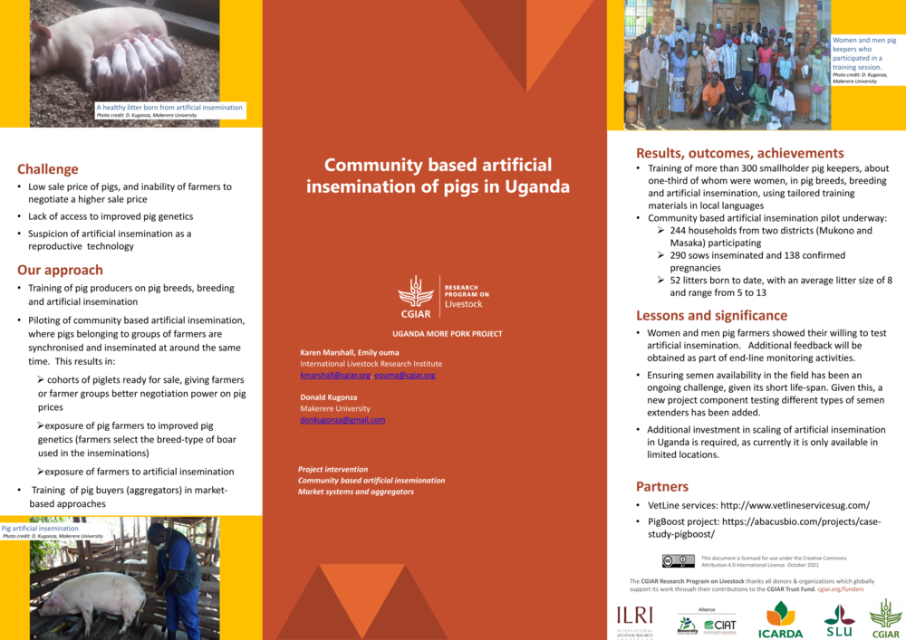 4. Community based artificial  insemination of pigs in Uganda