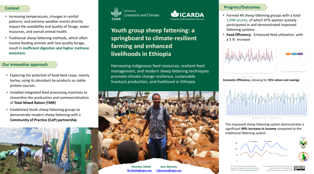 Youth group sheep fattening: a springboard to climate-resilient farming and enhanced livelihoods in Ethiopia
