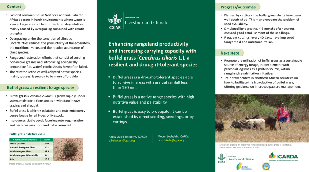  Enhancing rangeland productivity and increasing carrying capacity with buffel grass (Cenchrus ciliaris L.), a resilient and drought-tolerant species 