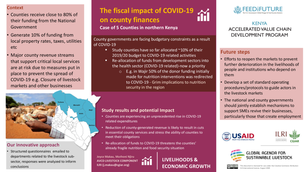 The fiscal impact of COVID-19 on county finances: Case of five counties in northern Kenya 