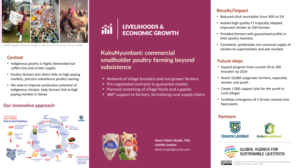 KukuNyumbani: commercial smallholder poultry farming beyond subsistence