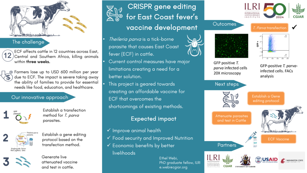 CRISPR gene editing for East Coast fever’s vaccine development