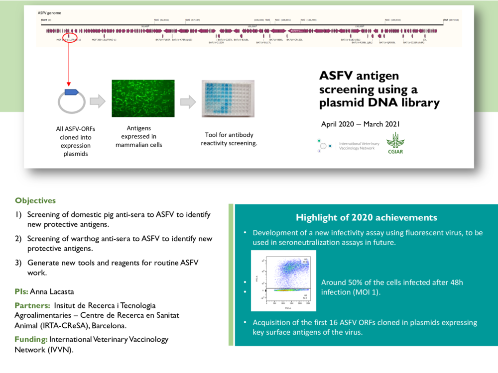 IVVN - ASFV antigen screening using a DNA plasmid library