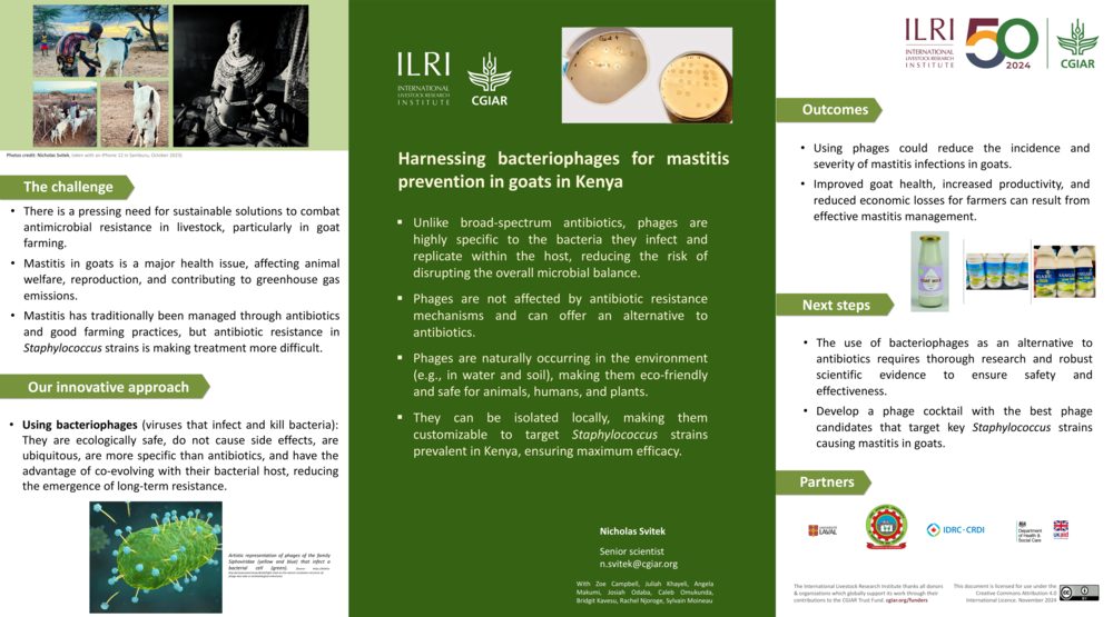 Harnessing bacteriophages for mastitis prevention in goats in Kenya