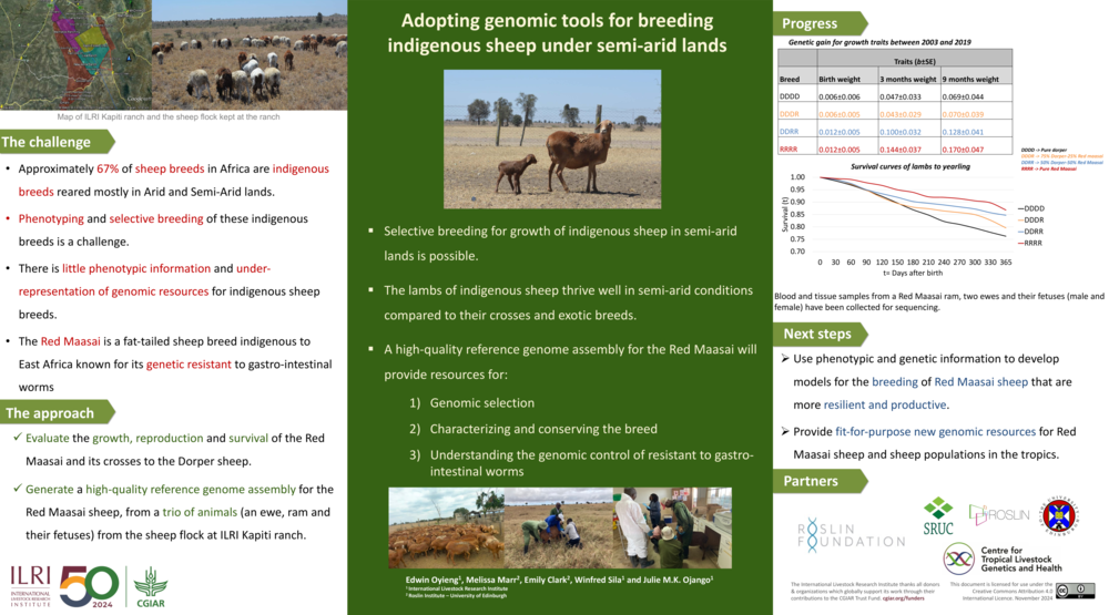 Adopting genomic tools for breeding indigenous sheep under semi-arid lands