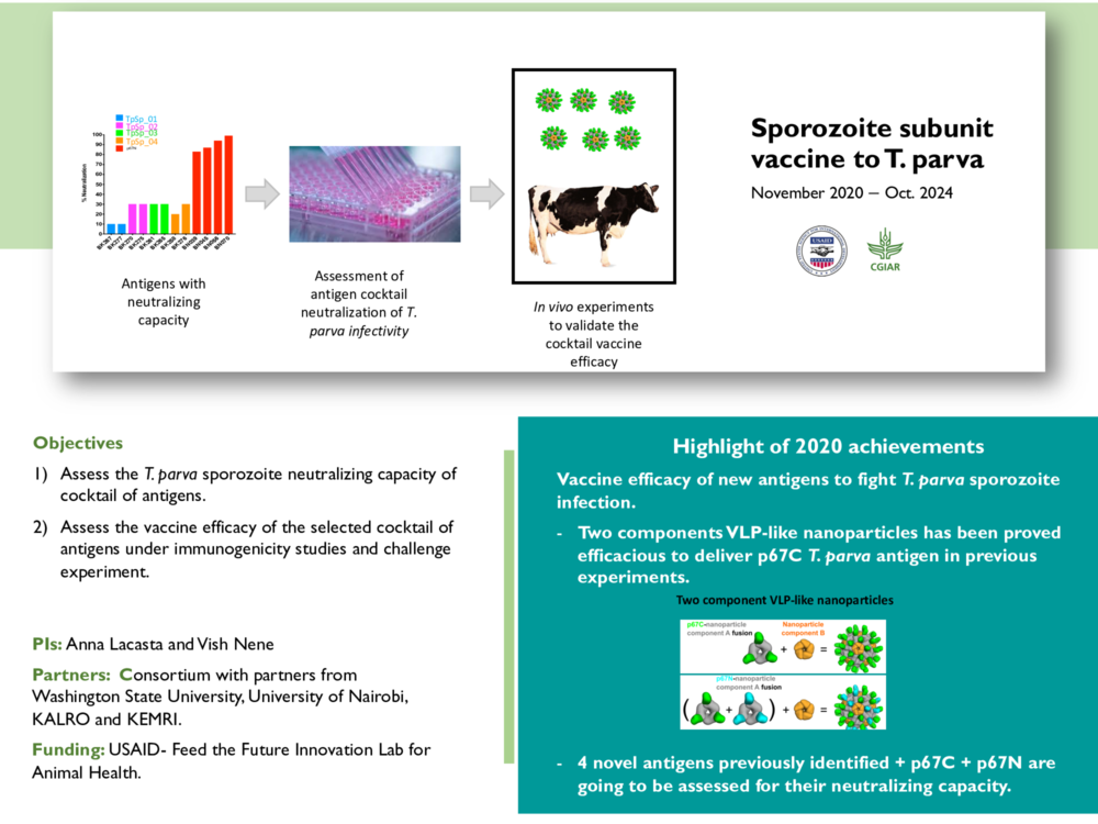 USAID - T. parva sporozoite subunit vaccine