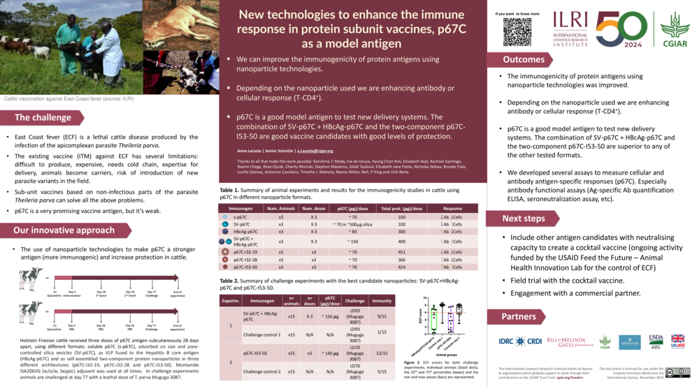 New technologies to enhance the immune response in protein subunit vaccines, p67C as a model antigen