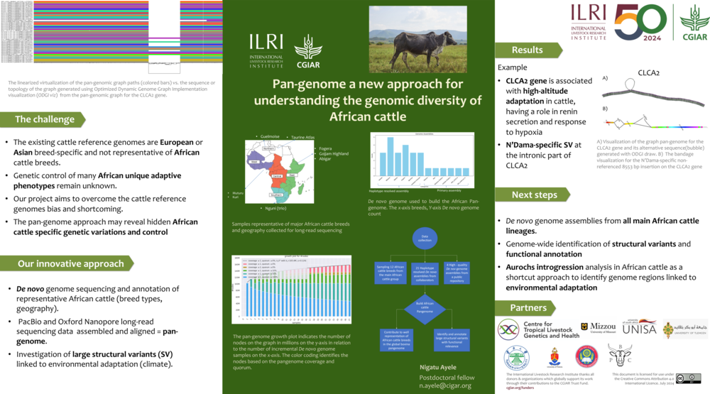 Pan-genome a new approach for understanding the genomic diversity of African cattle