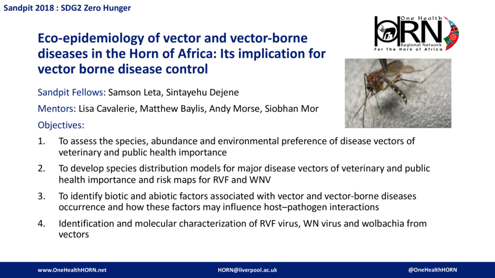 Eco-epidemiology of vector and vector-borne diseases in the Horn of Africa: Its implication for vector borne disease control