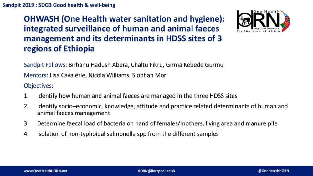 OHWASH (One Health water sanitation and hygiene): integrated surveillance of human and animal faeces management and its determinants in HDSS sites of 3 regions of Ethiopia