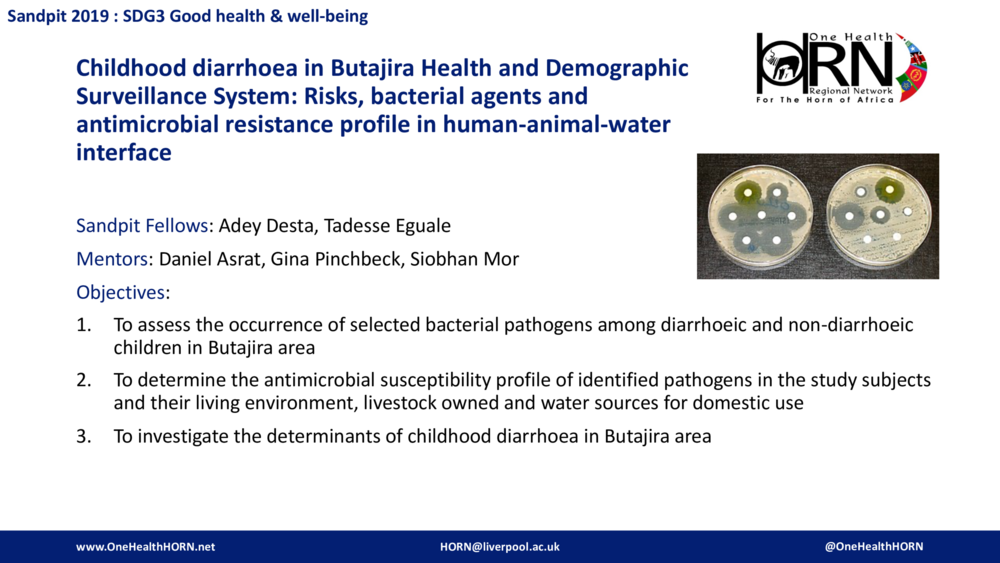 Childhood diarrhoea in Butajira Health and Demographic Surveillance System: Risks, bacterial agents and antimicrobial resistance profile in human-animal-water interface