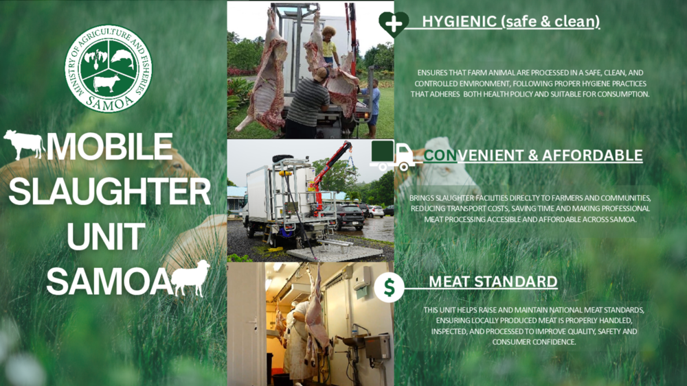 Mobile Slaughtering Unit (MSU) in Samoa