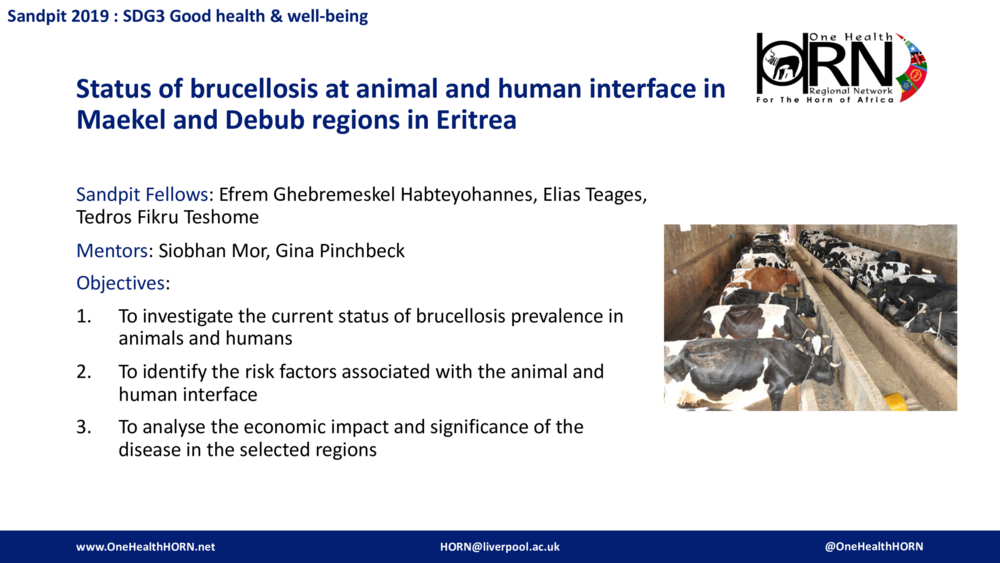 Status of brucellosis at animal and human interface in Maekel and Debub regions in Eritrea