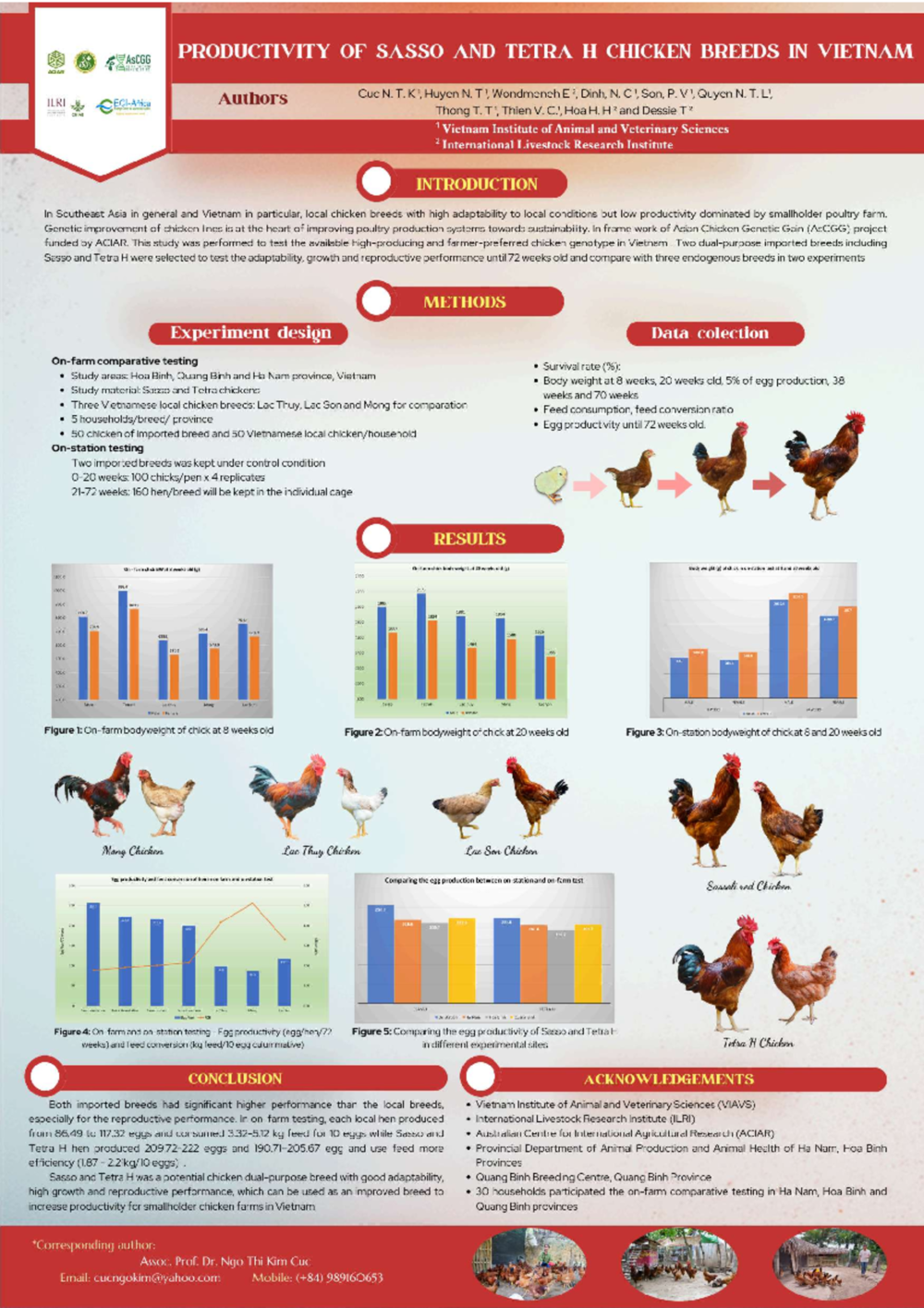 Productivity of Sasso and Tetra H Chicken Breeds In Vietnam