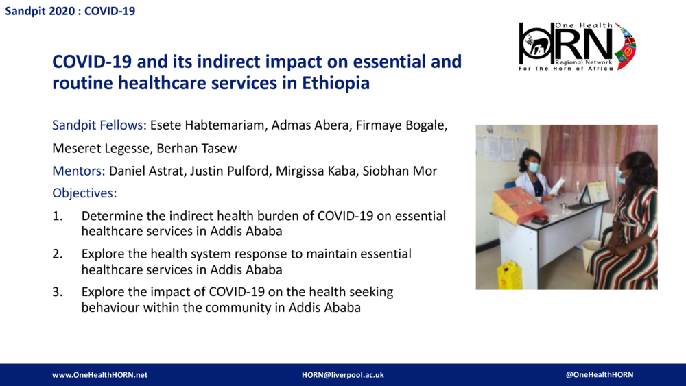 COVID-19 and its indirect impact on essential and routine healthcare services in Ethiopia