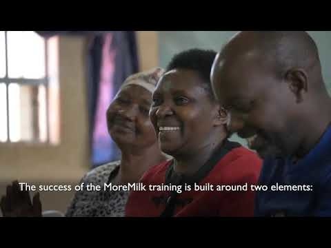 MoreMilk Project: Safer milk, better business