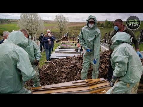 Structure of SARS-CoV-2