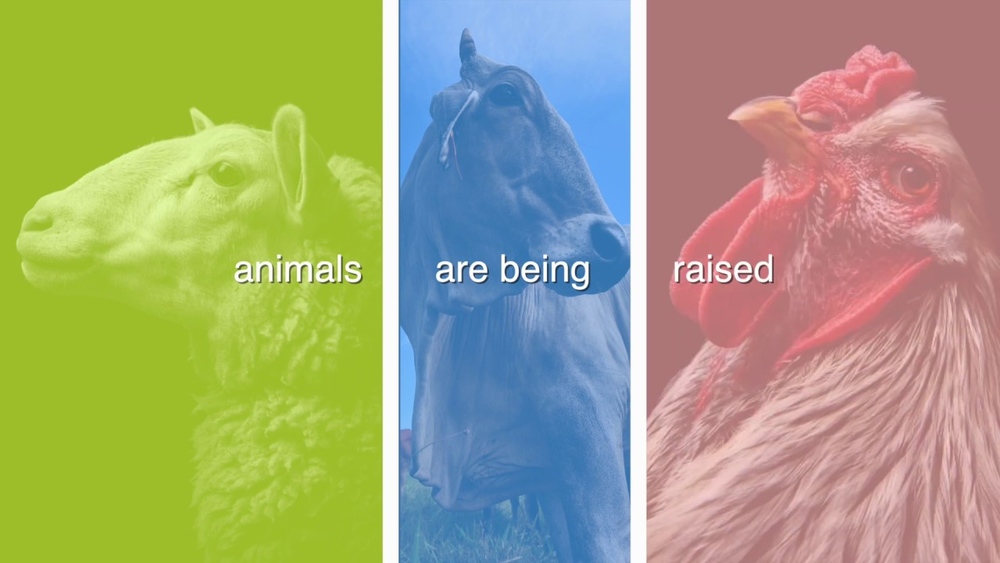 Livestock innovations for greater economic good